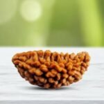 Natural Brown Real Rudraksha Beads 1 Mukhi