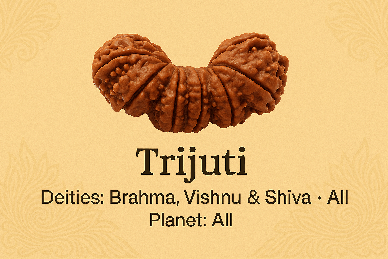 Trijuti rudraksha